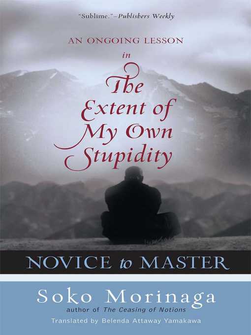 Cover image for Novice to Master